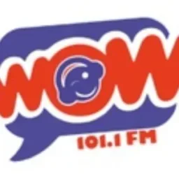 101.1 Wow (Torreón) - 101.1 FM - XHDN-FM - GPS Media - Torreón, Coahuila — Mexico شعار
