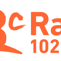 13C — Chile logo