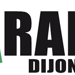 21 RADIO DIJON — France logo