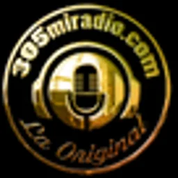 305 MI RADIO — The United States Of America logo