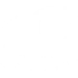 88.1 FM WVYC Radio Station — The United States Of America logo
