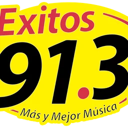 91.3 Exitos (Matamoros) - 91.3 FM - XHMLS-FM - Grupo Radio Avanzado - Matamoros, Tamaulipas — Mexico شعار