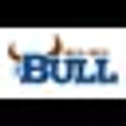 92.5 and 93.3 The Bull — The United States Of America logo