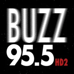 95.5 Buzz HD2 — The United States Of America logo
