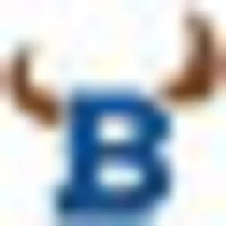 98.1 The Bull logo — The United States Of America