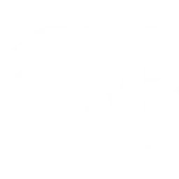 99.5 WCRB - Bach Channel — The United States Of America logo