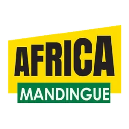 Africa Radio Mandingue Webradio — France logo