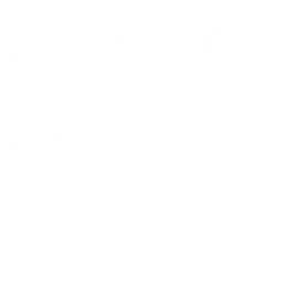 Alfa Radio — The United States Of America logo