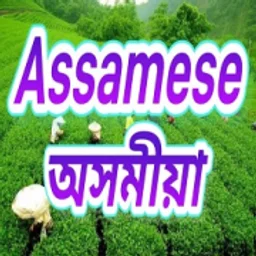 All India Radio Air Assamese — India logo