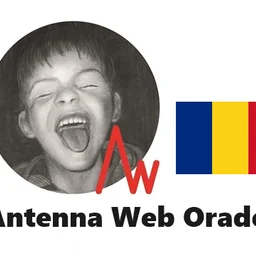 Antenna Web Oradea — Romania logo