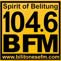 B 104.6 FM — Indonesia logo
