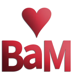 bAm BaM RADIO - All shades of house — Slovenia شعار