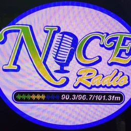 BDS NICE RADIO SVG logo — Saint Vincent And The Grenadines