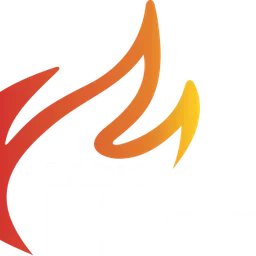 BHeins 95.3 FM — Germany logo