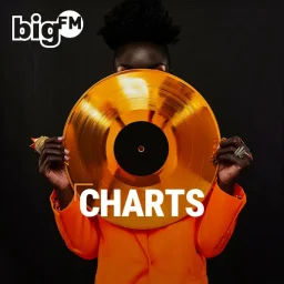 bigFM Charts — Germany logo