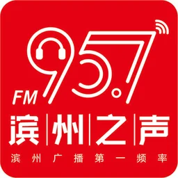 滨州综合广播 — China logo