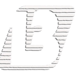 Bitlis FM 98.8 — Türkiye logo
