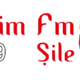 Bizim Fm Şile — Türkiye logo