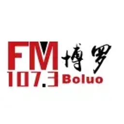 博罗综合广播 — China logo