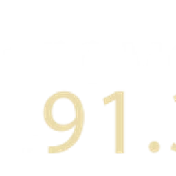 Bravo FM 91.3 logo — Taiwan, Republic Of China