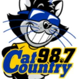Cat Country 98.7 (WYCT) — The United States Of America logo