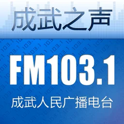 成武综合广播 — China logo