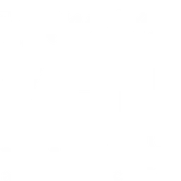 Covenant Network Catholic Radio — The United States Of America logo
