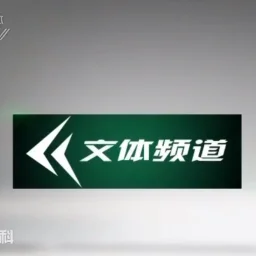 大连电视台文体频道 — China logo