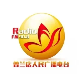 大连普兰店广播 — China logo