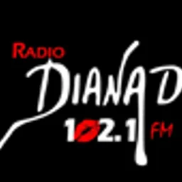 Diana D 102.1 FM — Bolivia logo