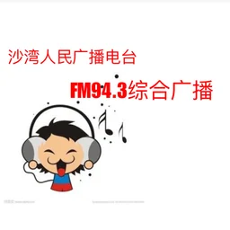 动感调频FM94.3 沙湾人民广播电台综合广播 — China לוגו