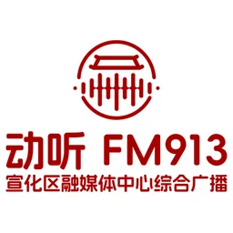 动听913（宣化区融媒体中心综合广播） — China logo