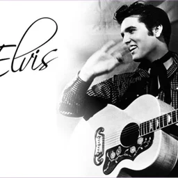 Elvis And Company — The United States Of America logo