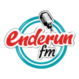 Enderun FM — Türkiye logo