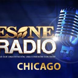 ESNE Radio Chicago — The United States Of America logo