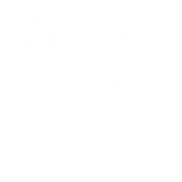 Everything Is New logo — Portugal