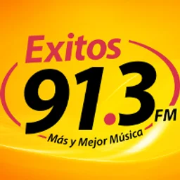 Exitos 91.3 FM logo — Mexico