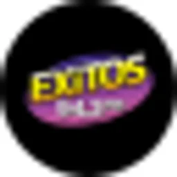 Exitos 94.3 FM logo — The United States Of America