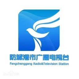 防城港综合广播 — China logo