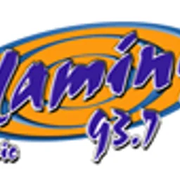 Flamingo Stereo 93.7 FM — Mexico شعار
