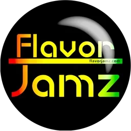 FlavorJamz Radio — The United States Of America logo