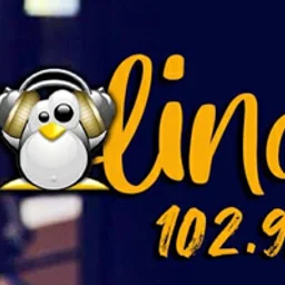 FM Carolina 102.9 — Argentina логотип