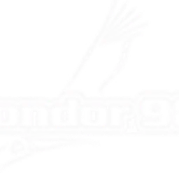 FM CONDOR 98.7 — Argentina логотип