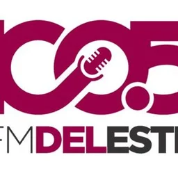 FM del este 100.5 — Argentina логотип