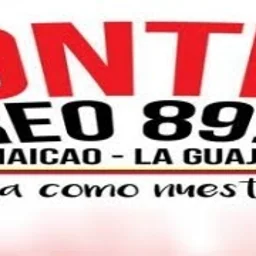 FRONTERA STEREO 89.1 FM — Colombia logo