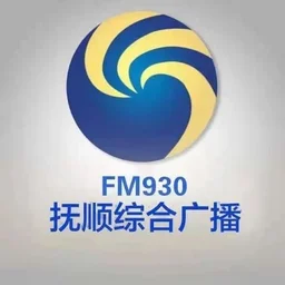抚顺综合 — China logo