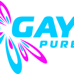 GAY FM - Pure Dance! — Germany logo