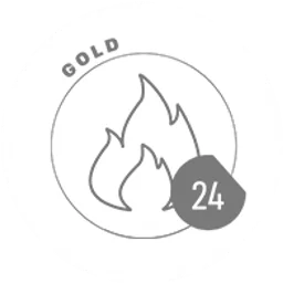 GOLD 24 — The Russian Federation شعار