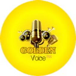 goldenvoiceradio — India logo