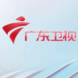 广东卫视伴音 — China логотип
